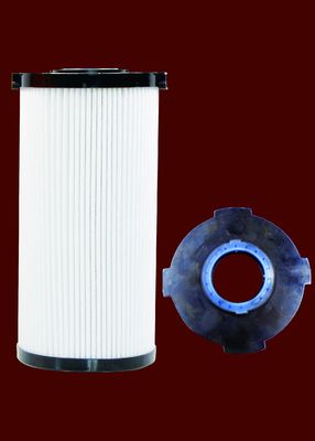 Filtro bruto diesel a favor do meio ambiente FS53040 120x260MM do caminhão pesado
